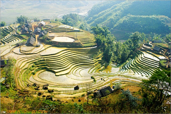 Tour du lịch Sapa giá rẻ
